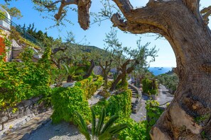 Un giardino con vialetto in pietra, alberi e vista sul mare.