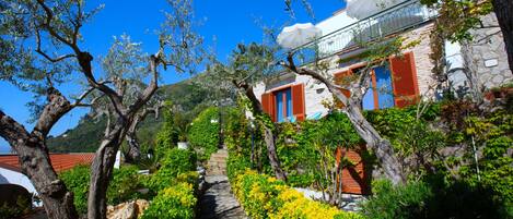 Terrein van de accommodatie