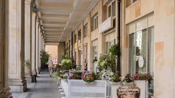 Estudio superior | Exterior