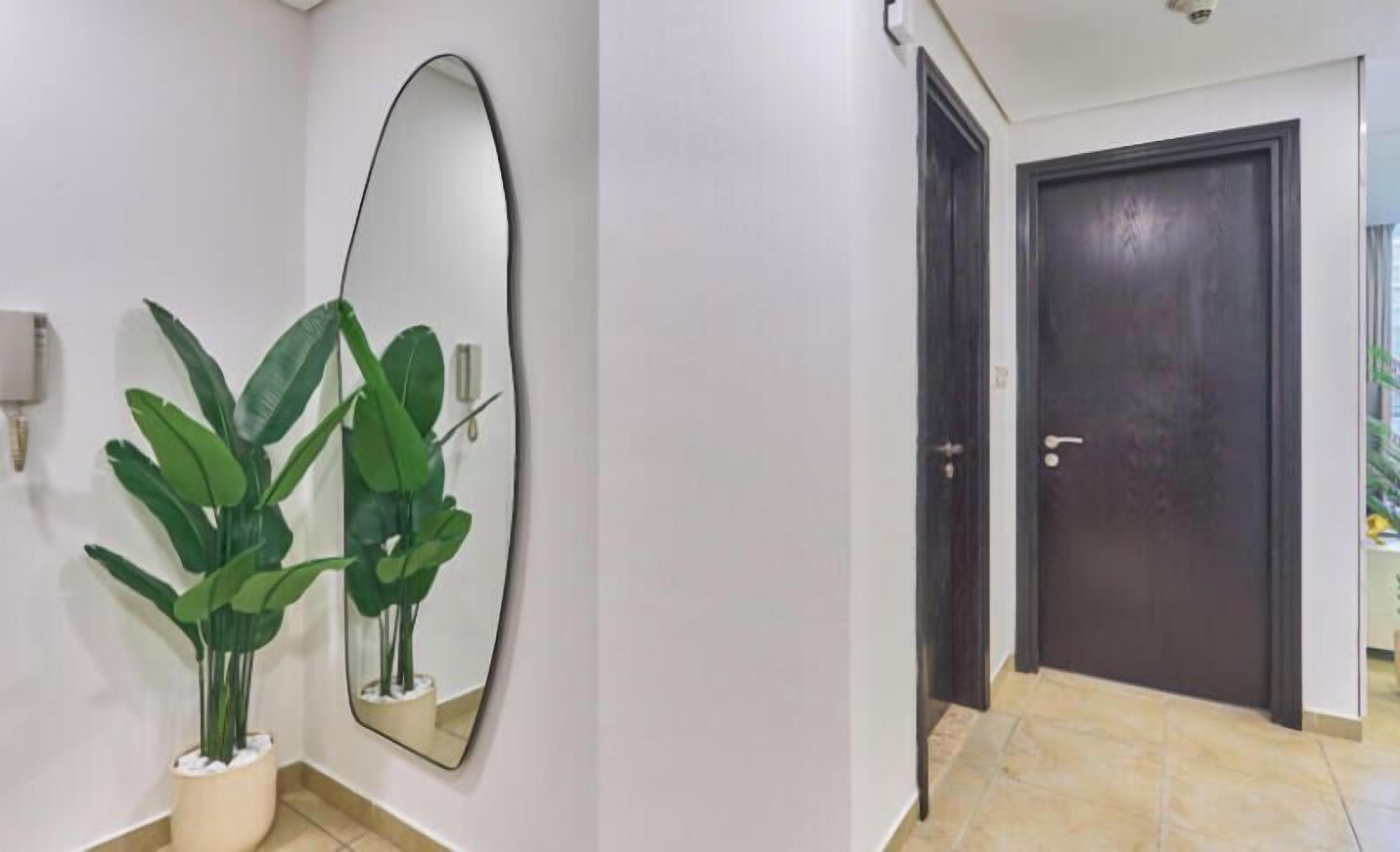 A hallway with a large mirror, a potted plant, and a dark door.