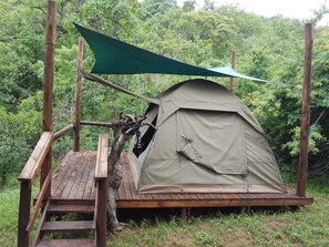 Basic Tent | 4 bedrooms, bed sheets