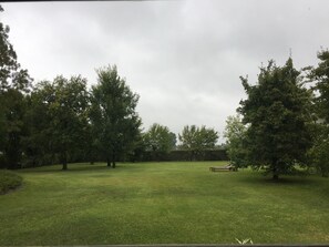 A grassy outdoor area with trees and a bench. - Civico 1A1 (Santa Maria di Sala)