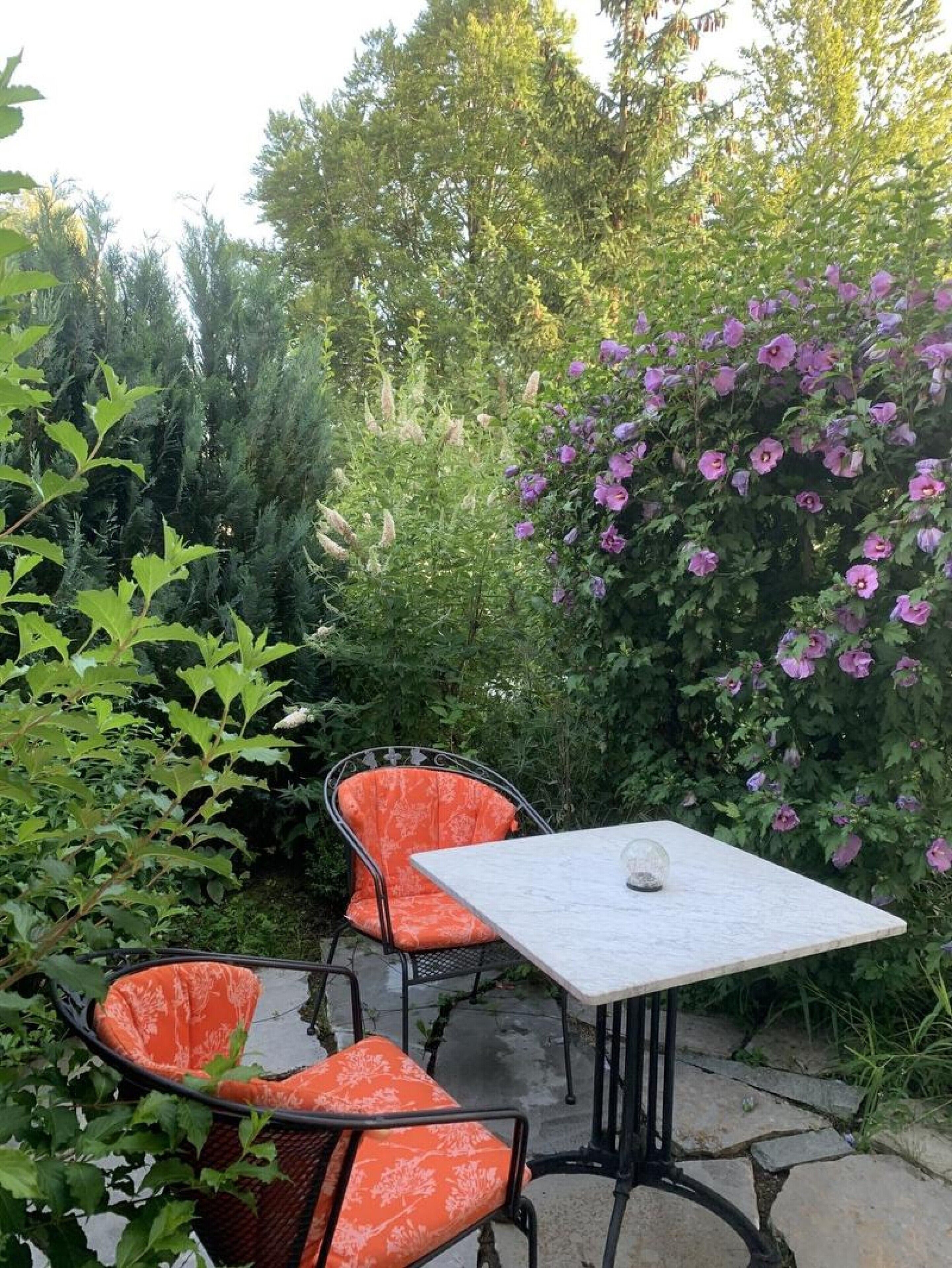 Un espace patio aménagé avec une table et deux chaises, entouré d’une végétation luxuriante et de plantes en fleurs.