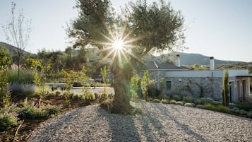 Une maison moderne à la façade en pierre, entourée d’une allée en gravier et d’un grand arbre.