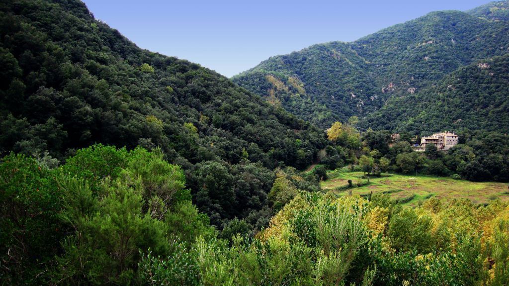 Eine gebirgige Landschaft mit dichtem Wald und einem Gebäude auf einem Hügel.