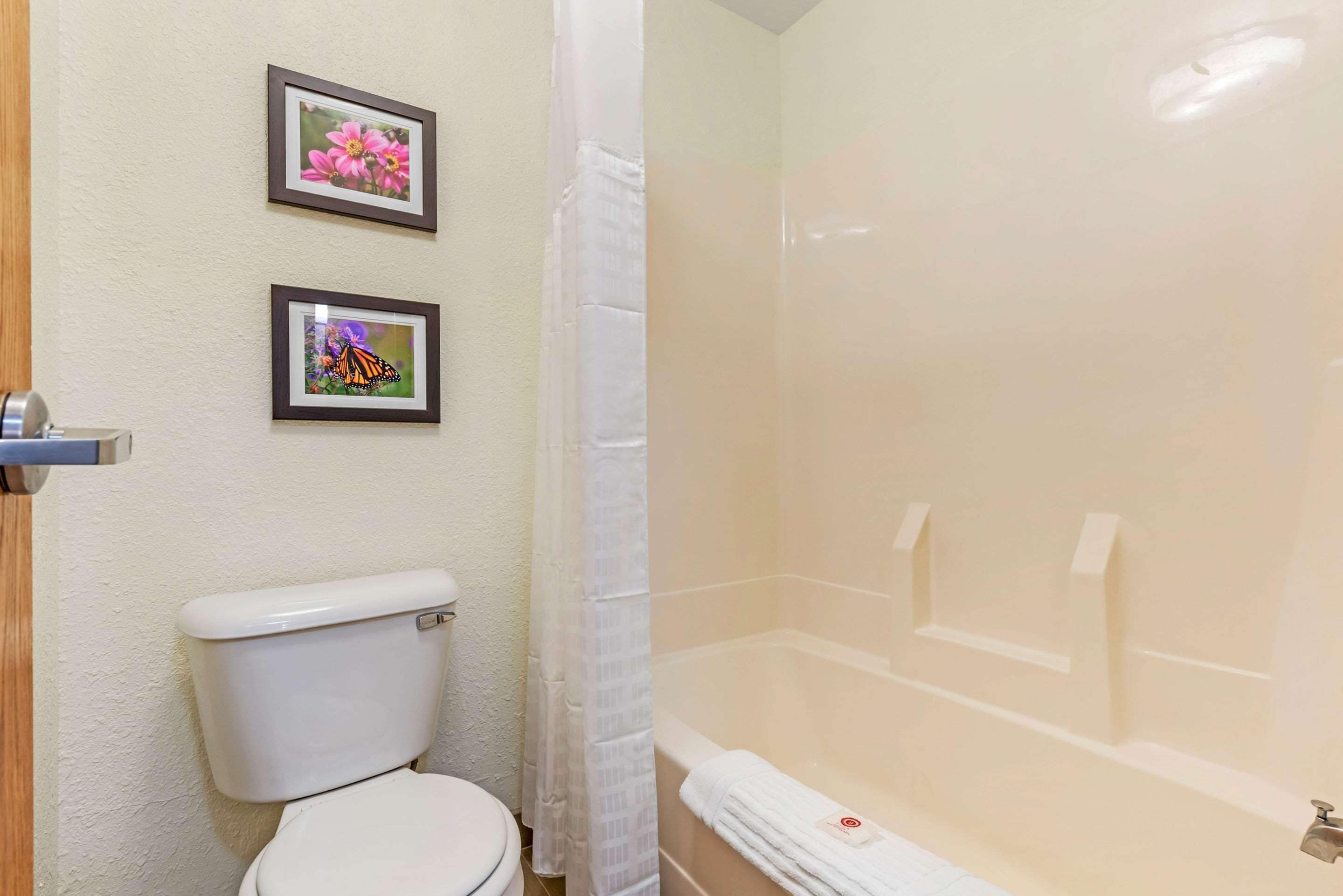 suite, 1 king bed with sofa bed, non smoking | 1 bedroom, desk, laptop workspace, blackout curtains