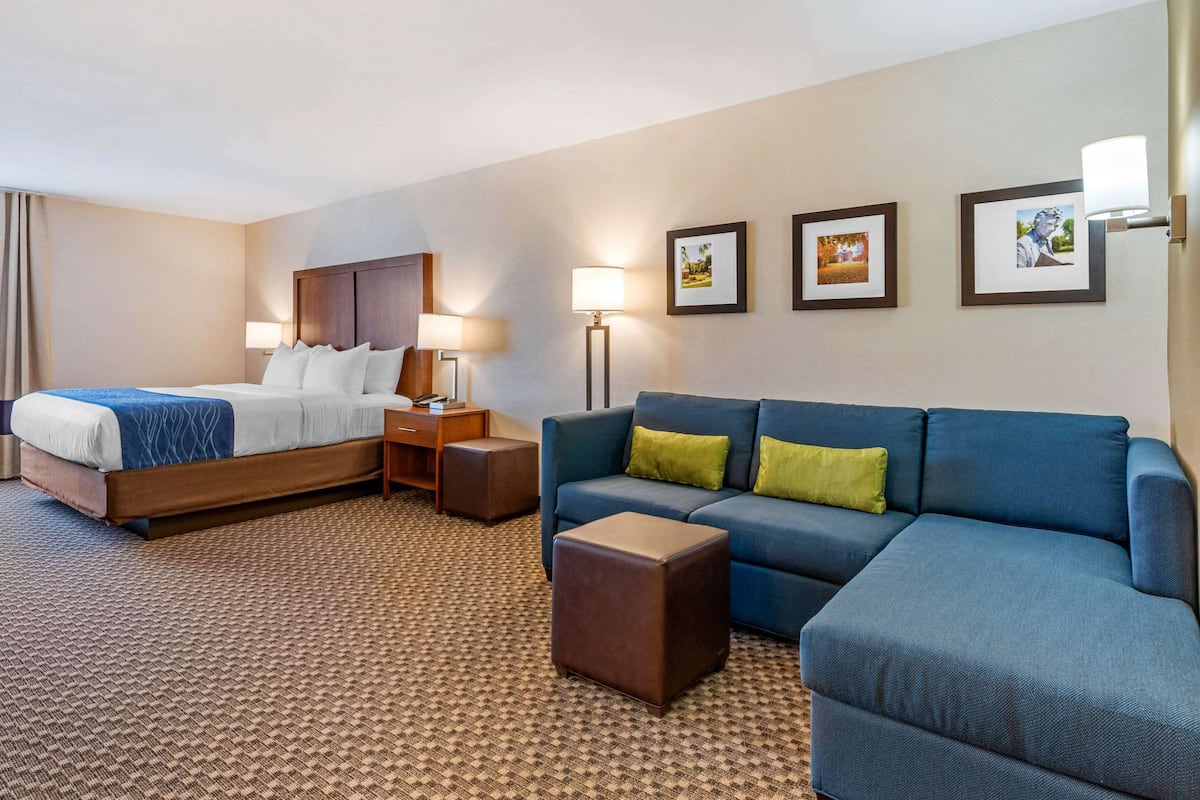 Suite, 1 King Bed with Sofa bed, Non Smoking | 1 bedroom, desk, laptop workspace, blackout drapes