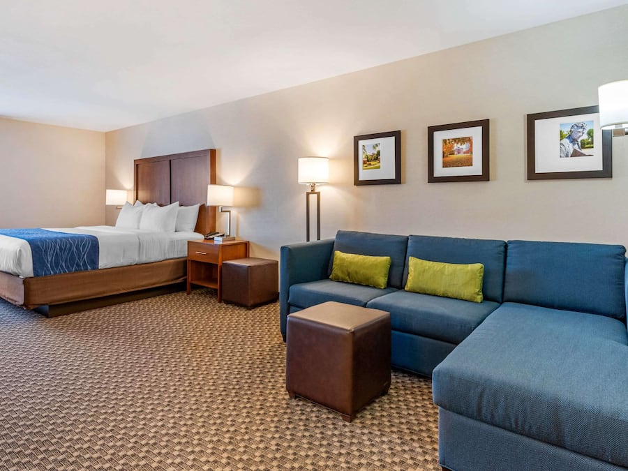 Suite, 1 King Bed with Sofa bed, Non Smoking | Desk, laptop workspace, blackout drapes, iron/ironing board