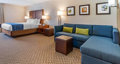 Comfort Inn & Suites near Route 66