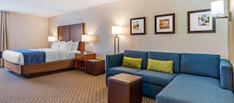 Comfort Inn & Suites near Route 66