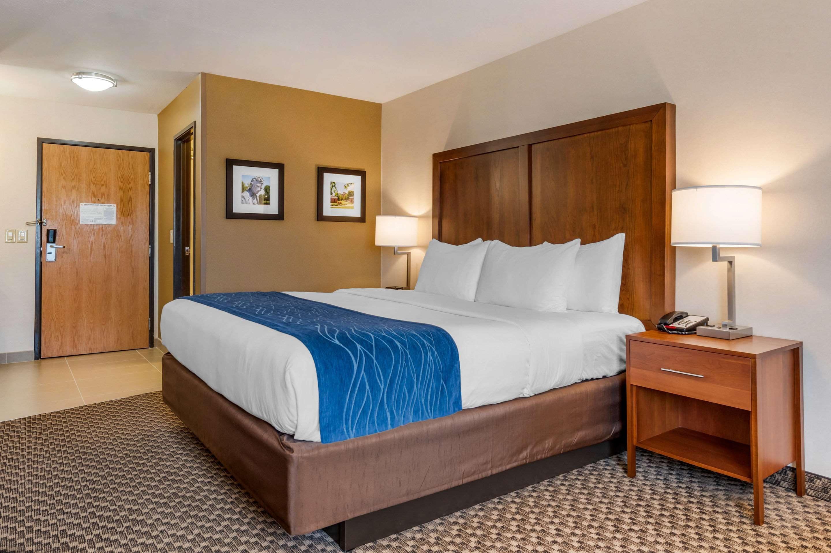 standard room, 1 king bed, non smoking | 1 bedroom, desk, laptop workspace, blackout curtains