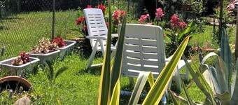 MAgricola Antennio 1975