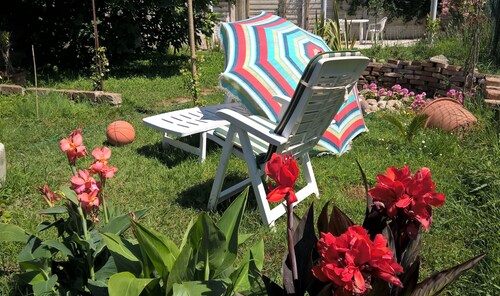 MAgricola Antennio 1975