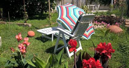 MAgricola Antennio 1975