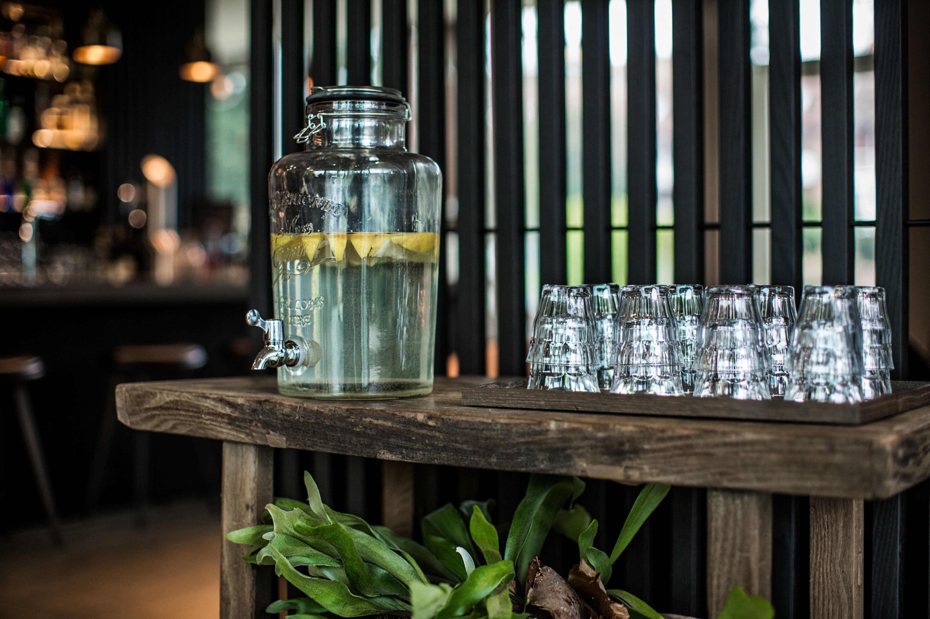 garden views, open daily