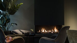 Een moderne woonkamer met een open haard, comfortabele zitplaatsen en een grote plant.