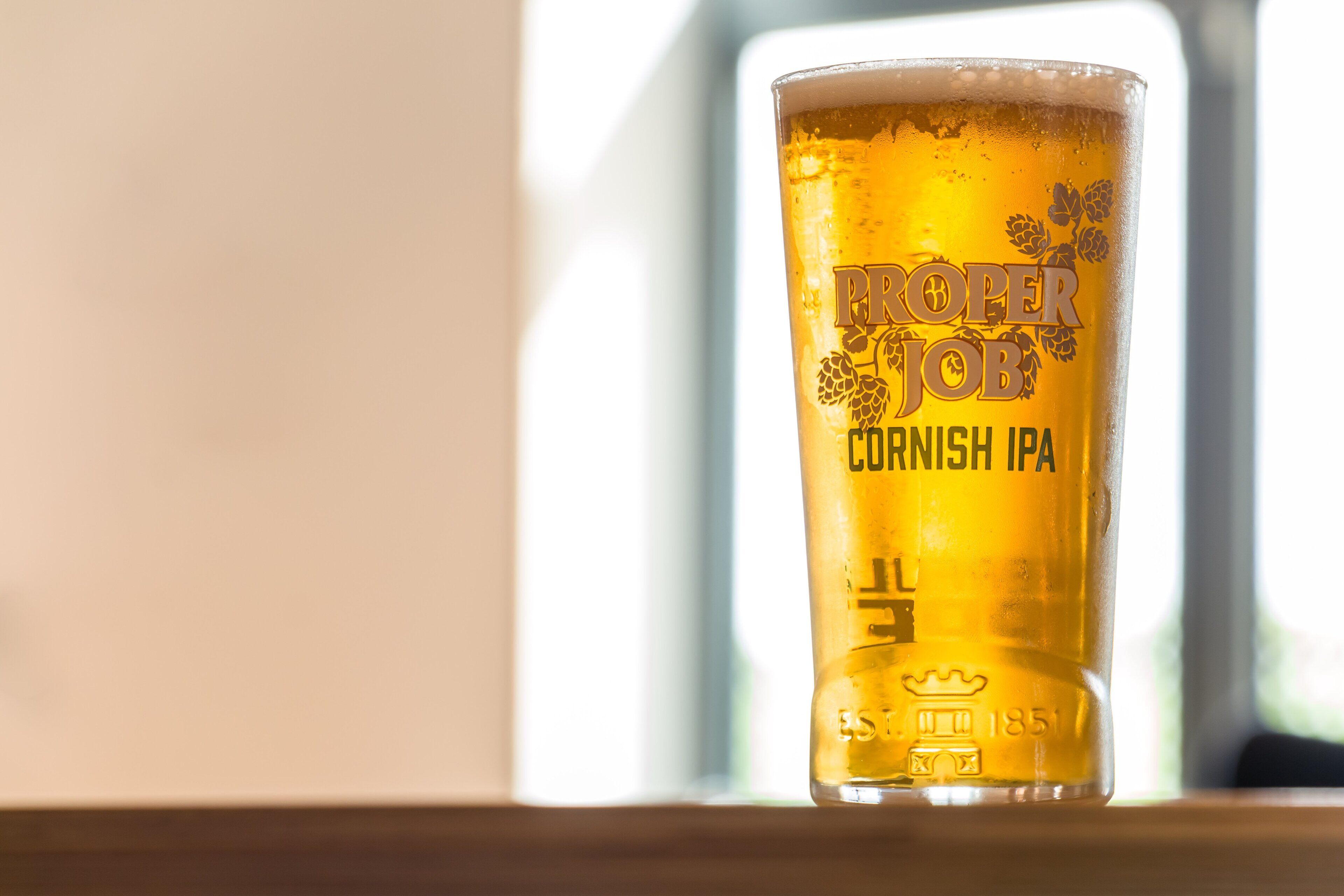 A glass of Procter & Jobson Cornish IPA beer.
