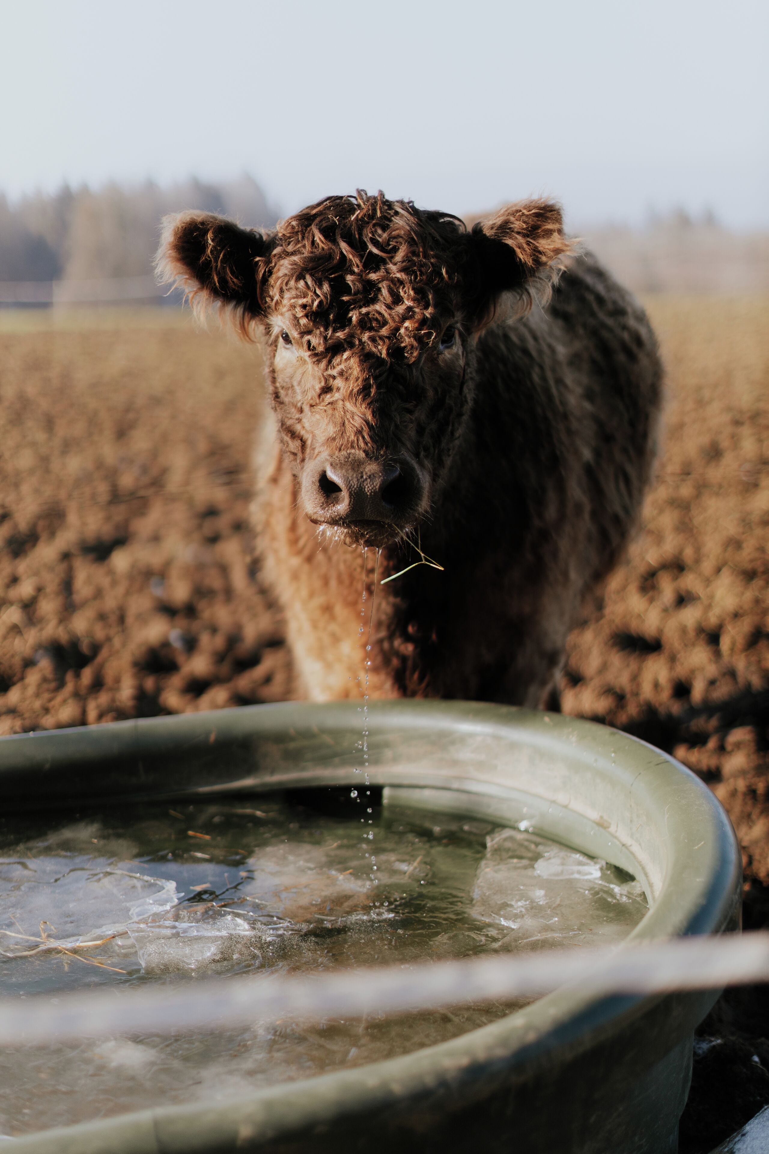 children’s activities