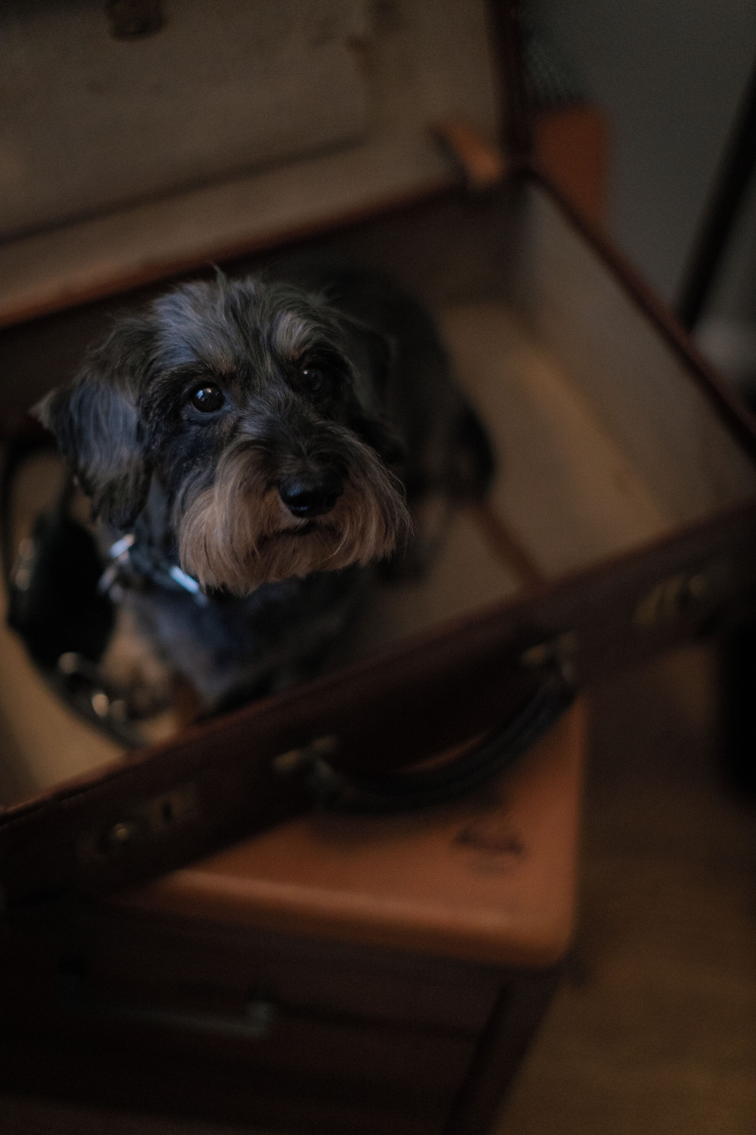 family room | individually decorated, individually furnished, desk, free wifi