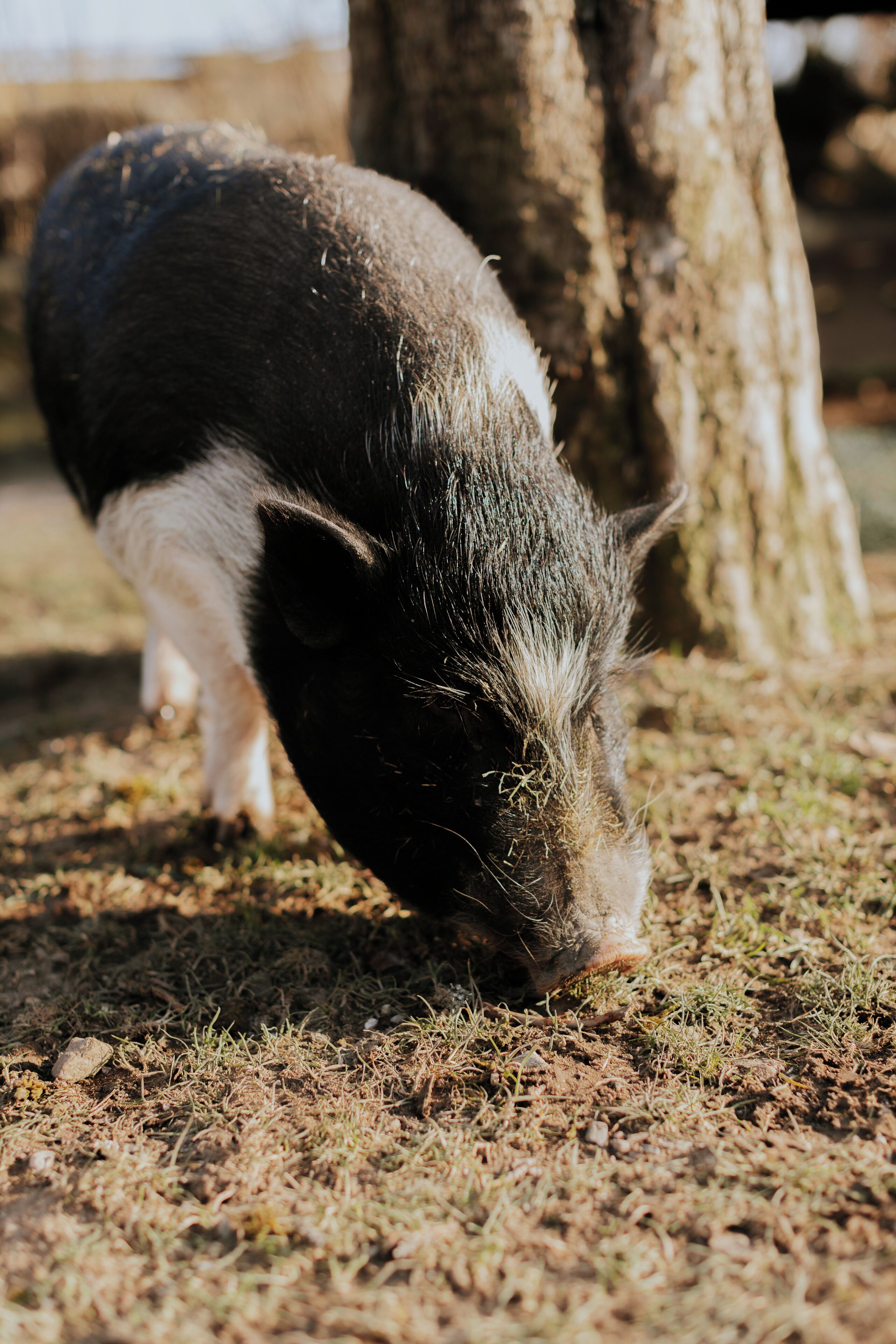 children’s activities