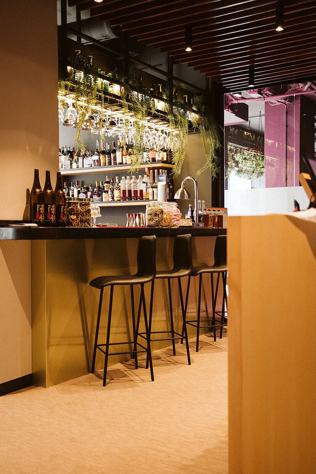 lunch and dinner served, japanese cuisine