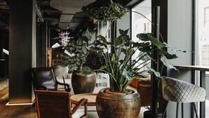 Un interior moderno con un gran ventanal, piso de madera, un sillón de cuero y varias plantas en macetas.