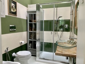 Ducha, secador de pelo, toallas y papel higiénico