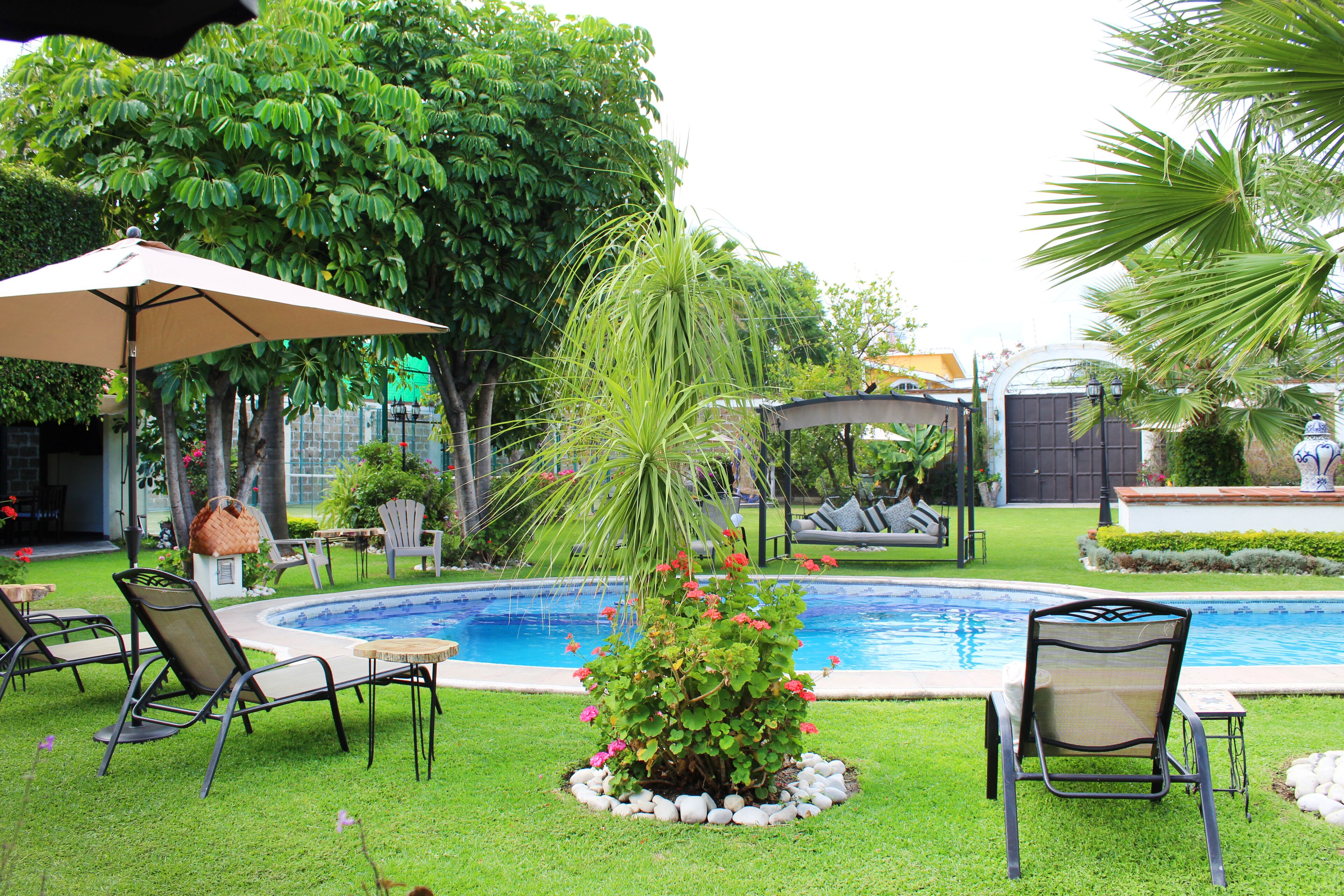 A pool area with lounge chairs, a table, and a decorative plant in the center.