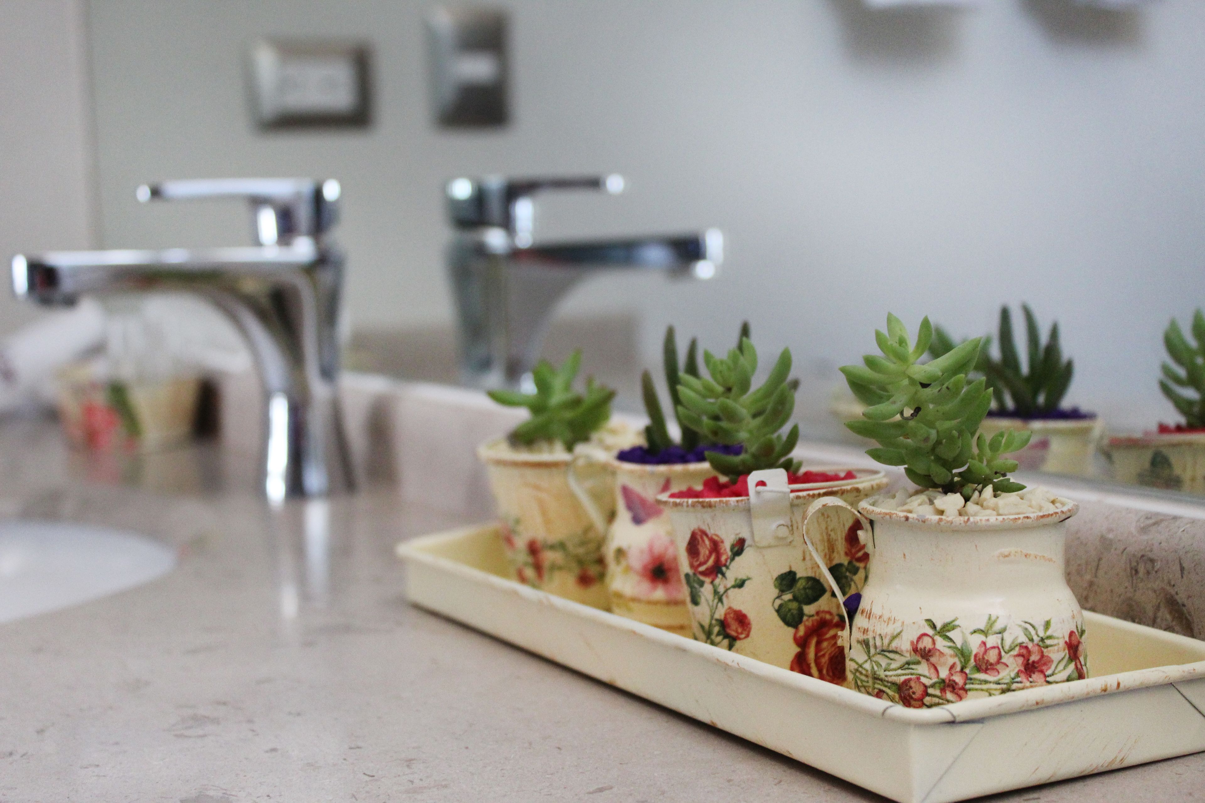 A bathroom counter with a tray holding floral-patterned pitchers and succulents.