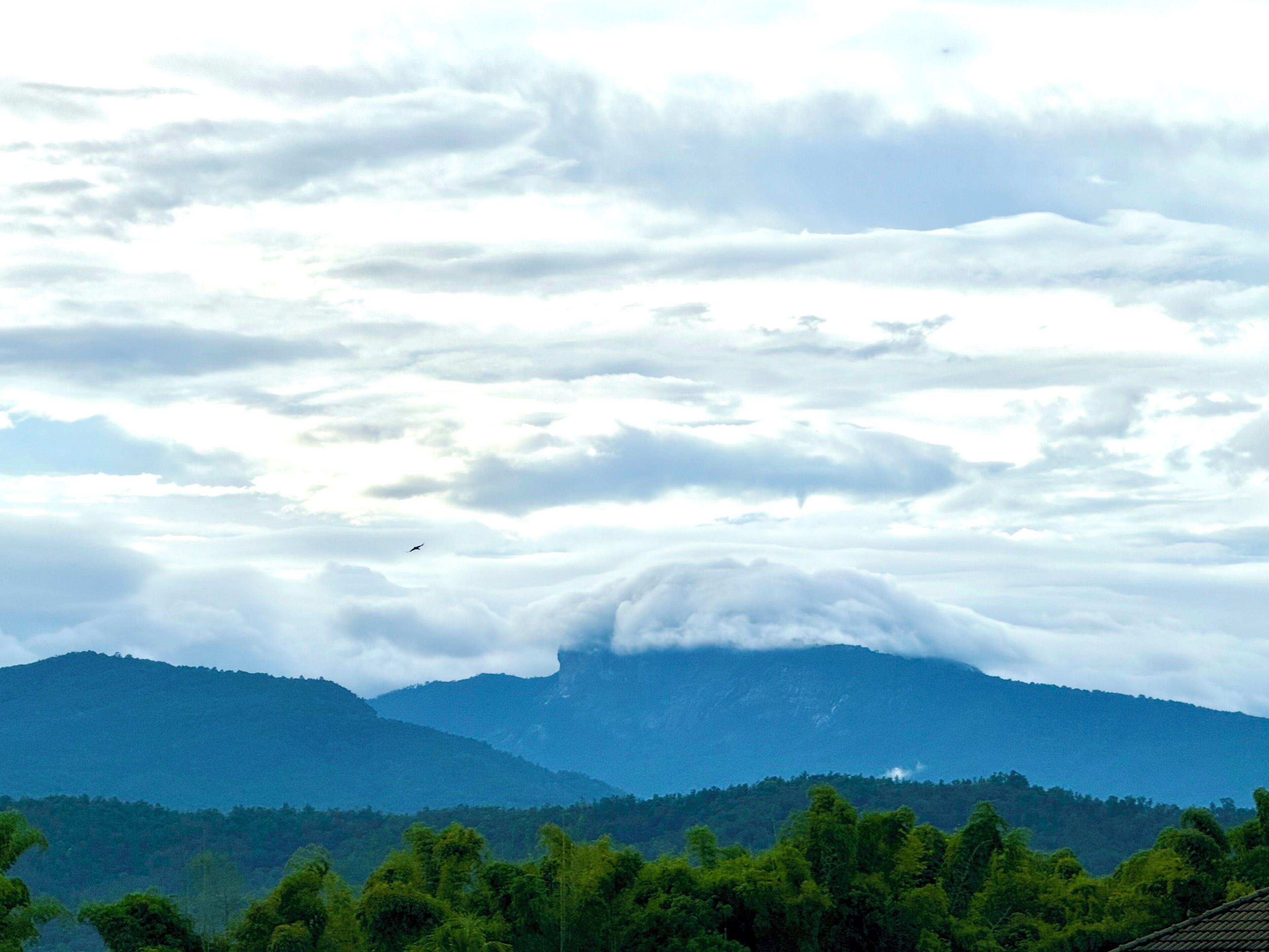 A mountainous landscape with a forested foreground and a cloudy sky.