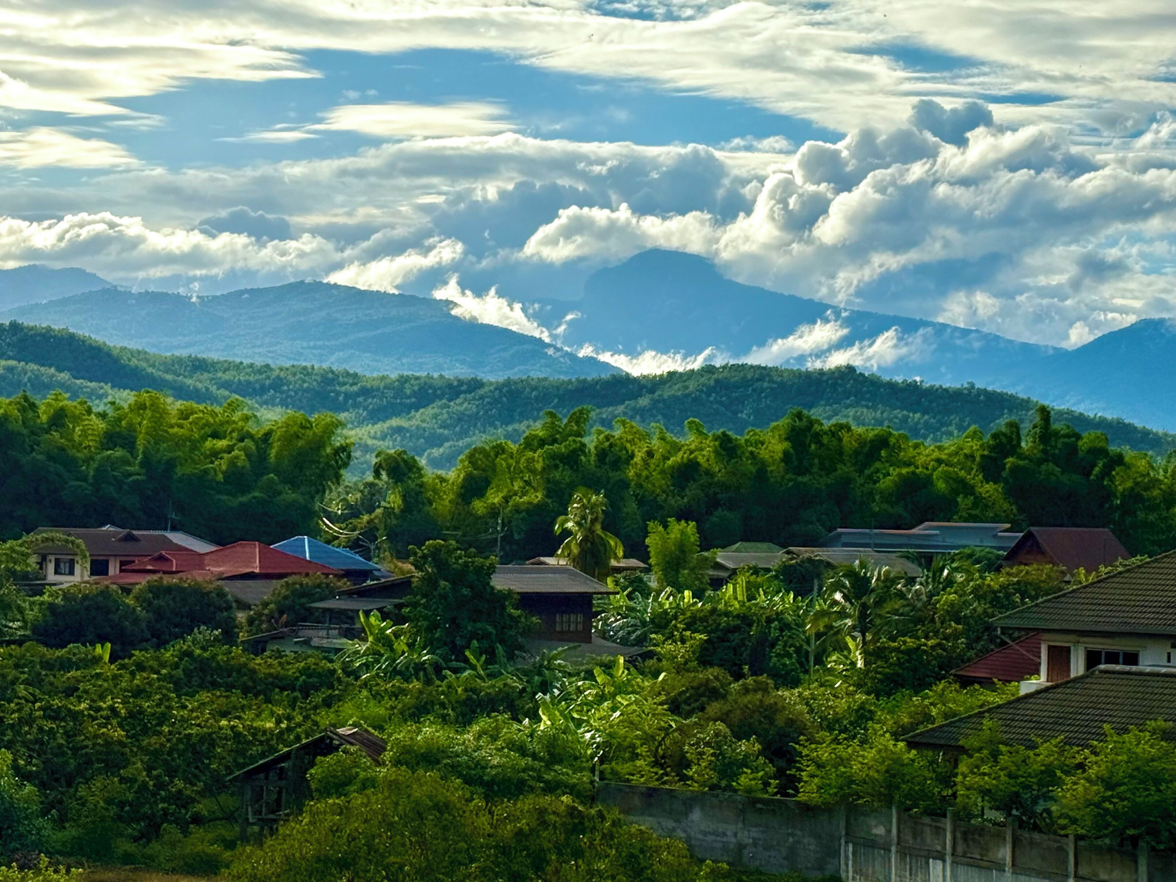 A residential area with houses surrounded by lush greenery and mountains in the background.