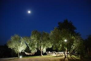 Property grounds - Country house Le Cerbaia-Ground floor (Lamporecchio)