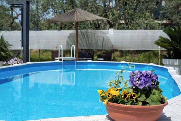 Piscina con una escalera metálica, rodeada por una cerca y una planta en maceta con flores.