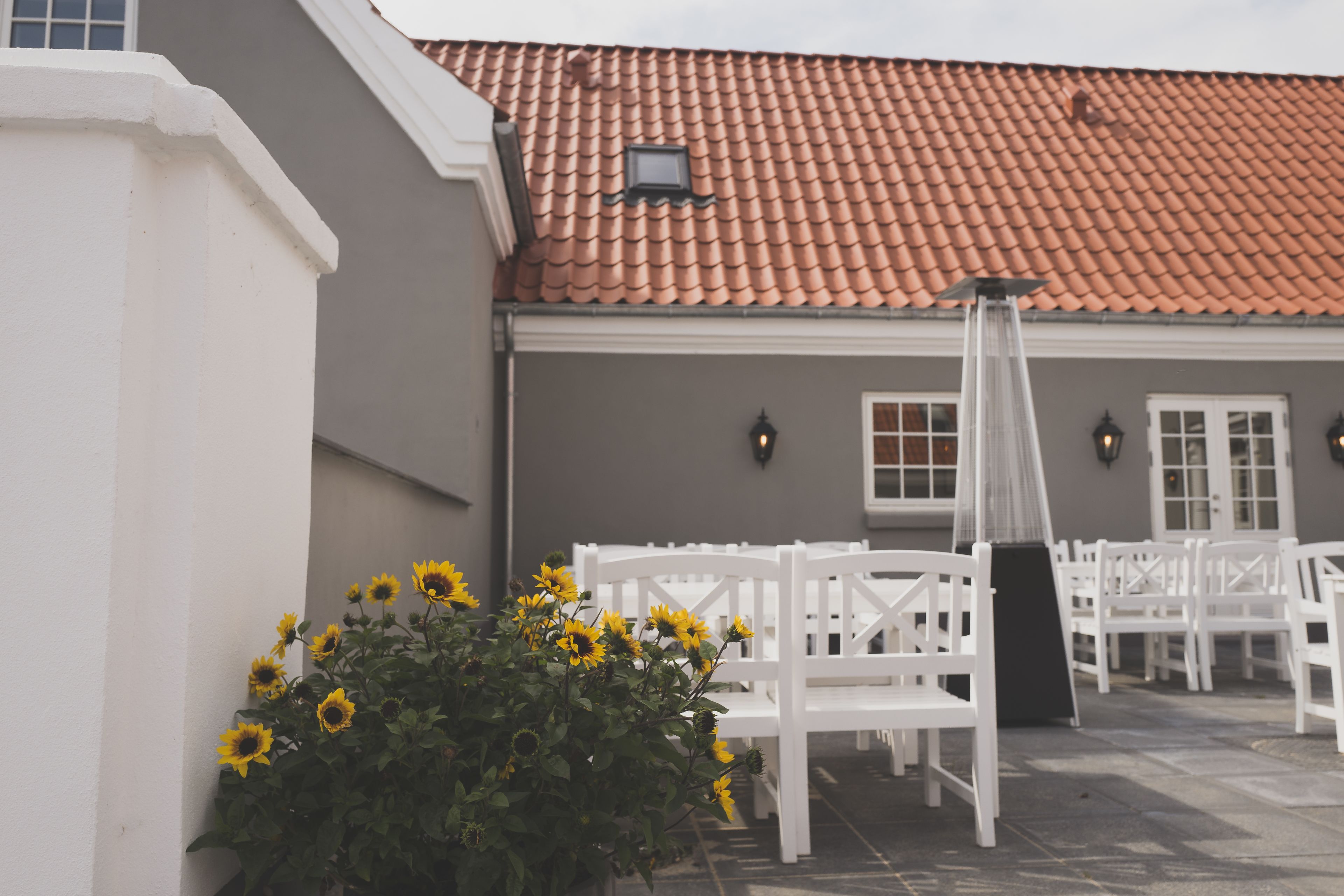 A patio area with white wooden benches and a potted plant with yellow flowers.