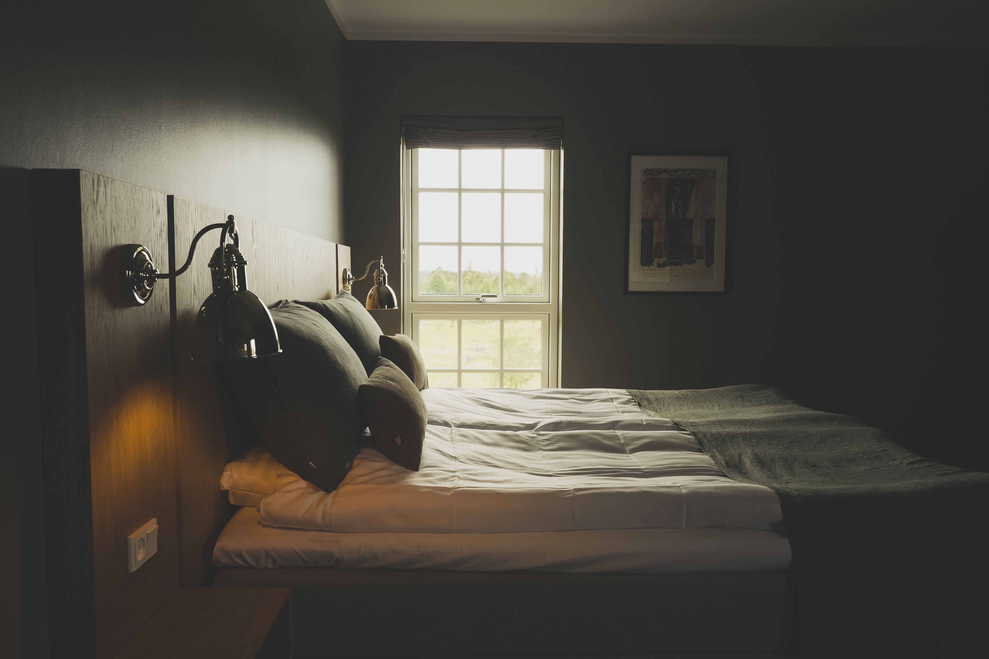 Una stanza poco illuminata con un letto singolo, una finestra che si affaccia sul verde e un quadro appeso alla parete.