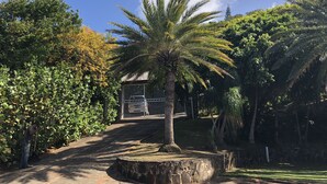 En sti der fører hen til en bygning omgivet af frodig vegetation og en palme.