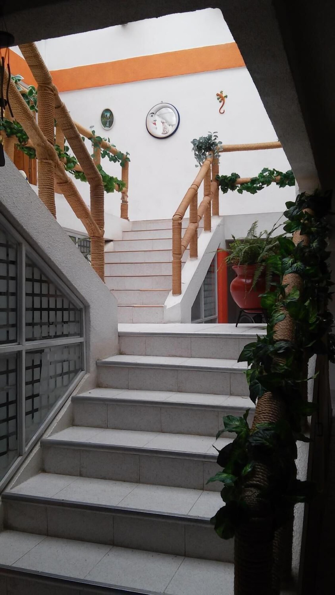 Foto 5