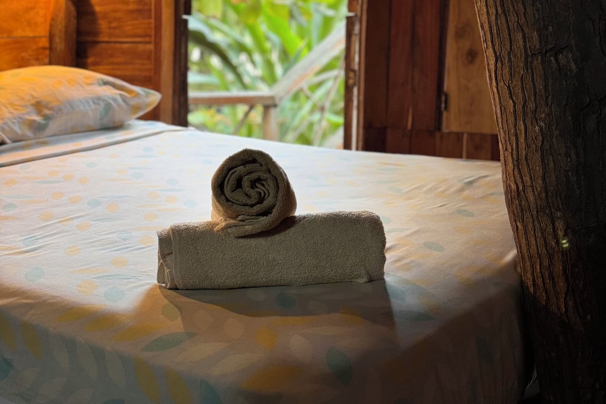 Standard-puumaja | Tallelokero huoneessa, silitysrauta/-lauta, ilmainen Wi-Fi