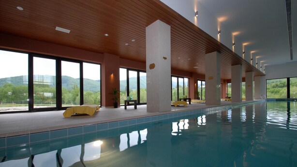 An indoor swimming pool with large windows, wooden ceiling, and a view of mountains. - Wolf 2 (Zarnesti)