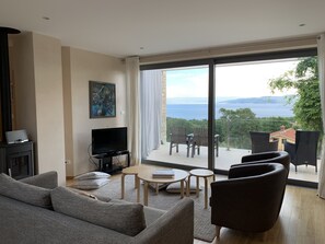 Smart TV, fireplace, DVD player, books