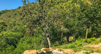 Sheepfold in the heart of the maquis private swimming pool (2.5mX5.5m)