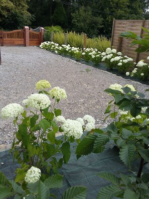 Jardines del alojamiento