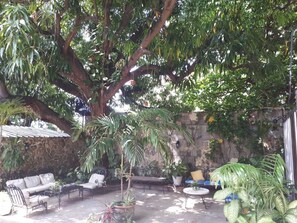 Puutarha