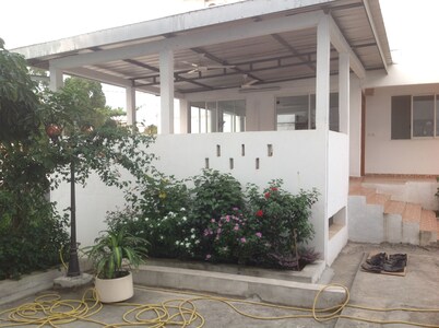 La experiencia única de la "Sala Grey Parrot de Gabón"