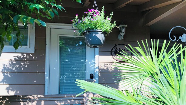 A house with a porch, a hanging flower pot, and a door with a window.