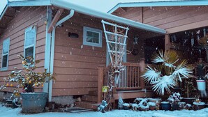 A house with a porch, a ladder, and potted plants.