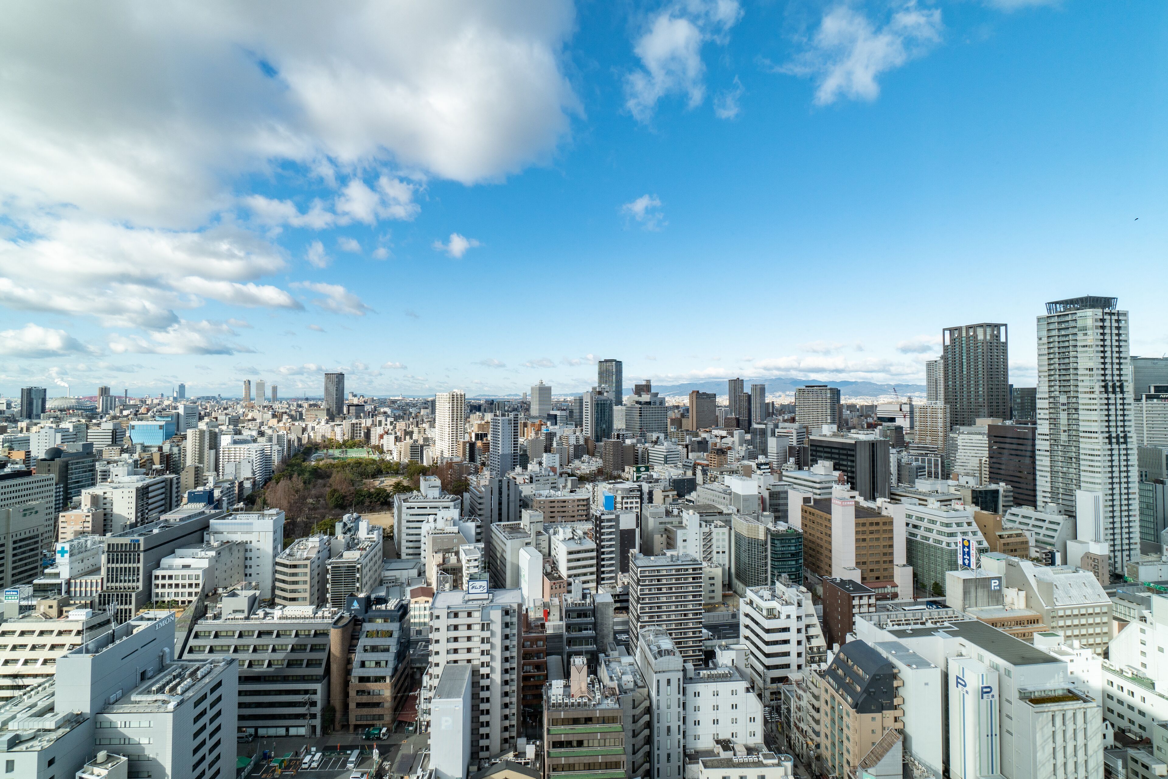 城市景