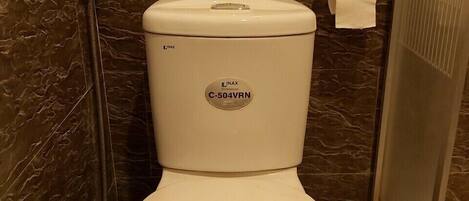 A toilet with a Linax C-504VRN model, a toilet paper holder, and a shower area.
