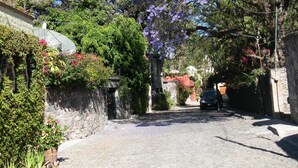 Un carrer pavimentat amb vegetació abundant i arbres amb flors morades.