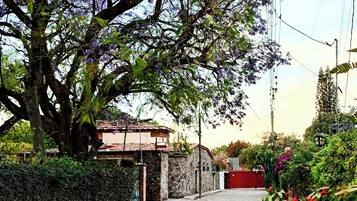 Une rue pavée, avec un grand arbre et des fleurs violettes. On aperçoit, au fond, un mur de pierre et un portail rouge.